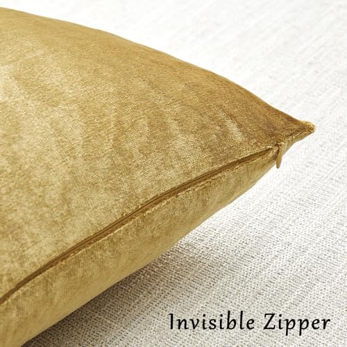 GIGIZAZA Gold Velvet Decorative Throw Pillow Covers,18x18 Pillow Covers for Couch Sofa Bed 2 Pack Soft Cushion Covers