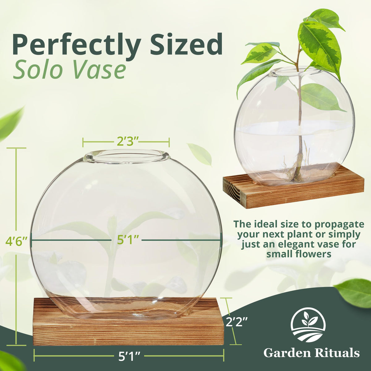 Garden Rituals - Plant Propagation Station Vase, Glass Terrarium Jars, Modern Hydroponic Planters for Indoor Plants, Desktop Glass Pots for Plants Round Vases Plant Holder Home Office Decor, 1Vase