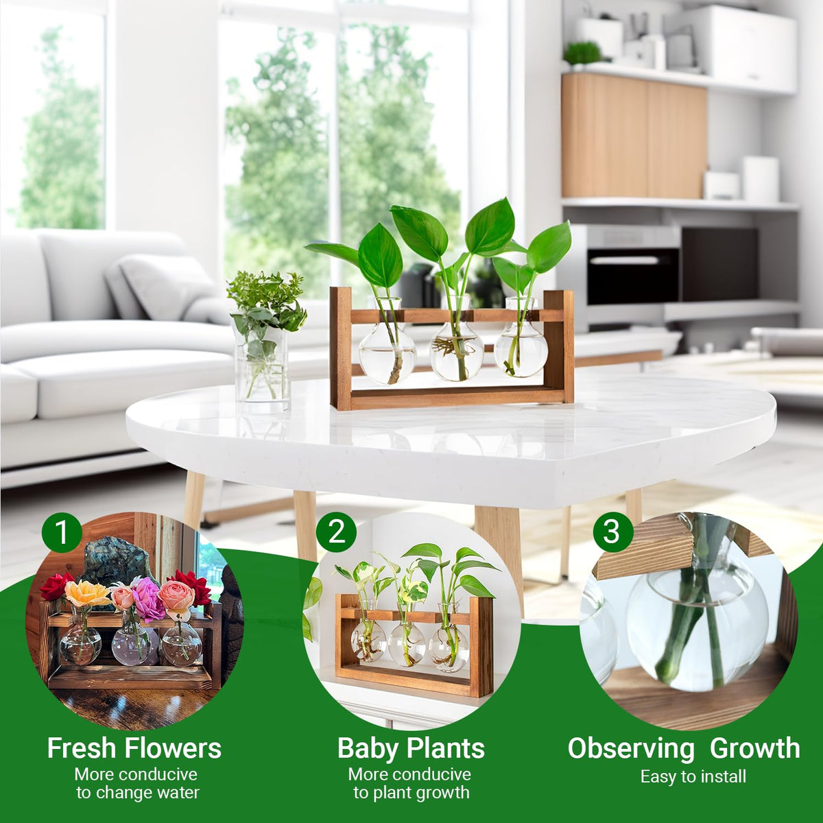 Plant Propagation Station,Plant Terrarium,Plant Starter,Gifts for Plant Lovers,Glass Bulb Terrarium with Retro Solid Wooden Stand for Hydroponics Plants Home Garden Wedding Décor (3 Bulbs)