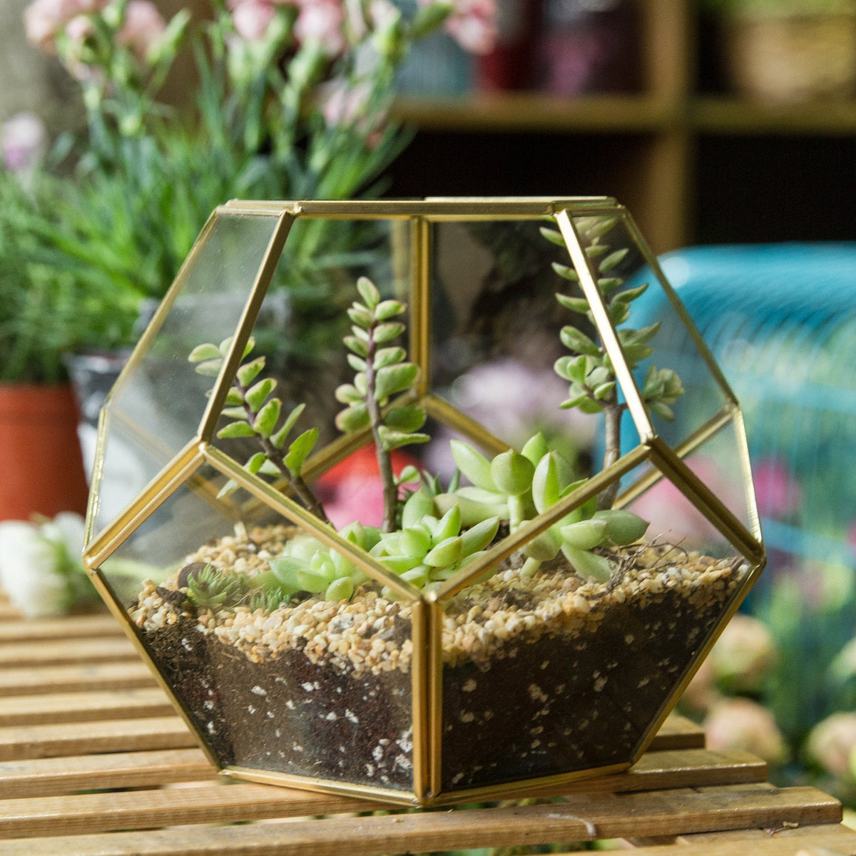 NCYP Glass Terrarium for Small Cactus, Succulents - Gold Geometric Planter Pot, Home Office Tabletop Miniature Garden Decor, 6.89 x 6.89 x 5.9 Inches, Handmade (No Plants, No Door)