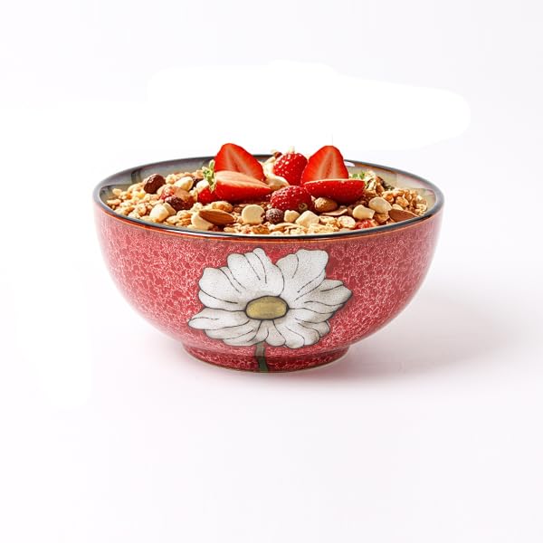 Gacoree Ceramic Bowls For Kitchen, 28 Oz Cereal Bowl, Soup Bowls for Salad, Pasta, Ramen Bowl Oven Safe Serving Bowls Set of 4