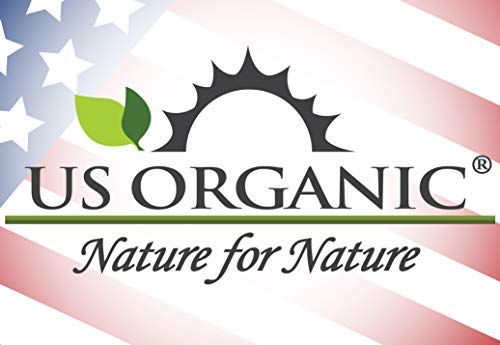 US Organic 100% Pure Rosemary Essential Oil, USDA Certified Organic 100% Pure, Steam Distilled, for Hair Growth, Scalp, Face, Skin, and Aromatherapy (Size Variations Available) (10 ml)