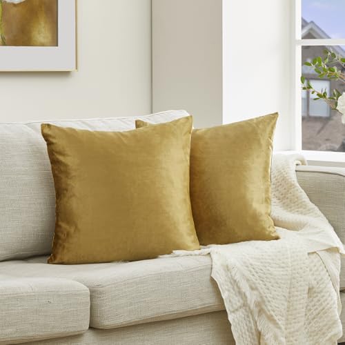 GIGIZAZA Gold Velvet Decorative Throw Pillow Covers,18x18 Pillow Covers for Couch Sofa Bed 2 Pack Soft Cushion Covers
