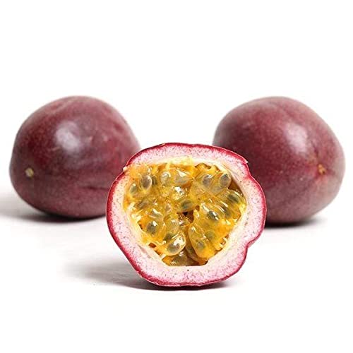 Dr Joe Lab Maracuja Oil - Passion Fruit Seed - Pure Filtered Carrier Oil for Face Skin Lips Body Hair Natural Virgin Moisturizer DIY Soaps Cream - Cocojojo, 1 Gallon (128 oz)