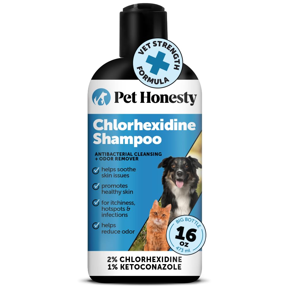 Chlorhexidine Cat & Dog Seasonal Itch Relief Shampoo, for Allergies, Itching, Skin and Coat Supplement, Helps Shedding, Hot Spots, Deodorizing Dog Shampoo & Grooming Supplies,16oz