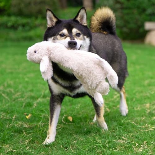 Best Pet Supplies 2-in-1 Stuffless Squeaky Dog Toys with Soft, Durable Fabric for Small, Medium, and Large Pets, No Stuffing for Indoor Play, Supports Active Biting and Play - 4 Figures, Small