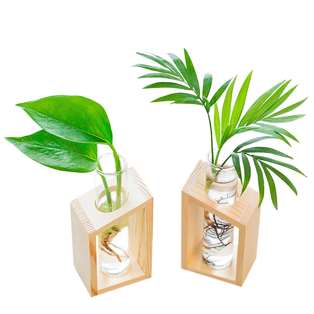 Ivolador Plant Propagation Station, Plant Propagation Tubes,Gifts for Plant Lovers,Plants Cutting Holder Office Desk Garden Décor Gifts for Mom Women Hydroponic Vase Gift Box