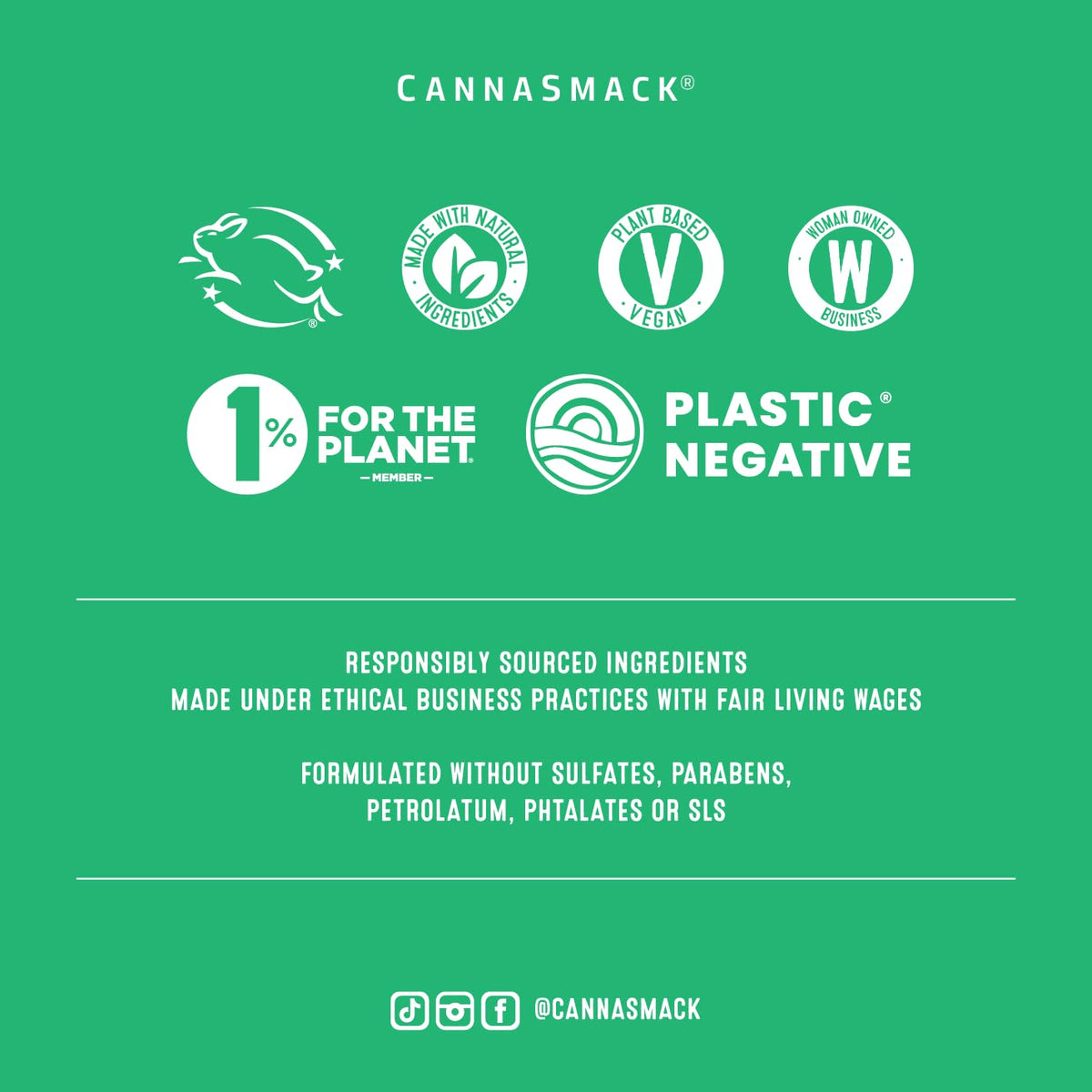 CannaSmack Vegan Hemp Lip Balm - 5 Flavors Included - Soothe, Moisturize, Hydrate, Protect, & Nourish Dry Chapped or Irritated Lips - Made with Hemp Seed Oil, Natural, & Botanical Ingredients