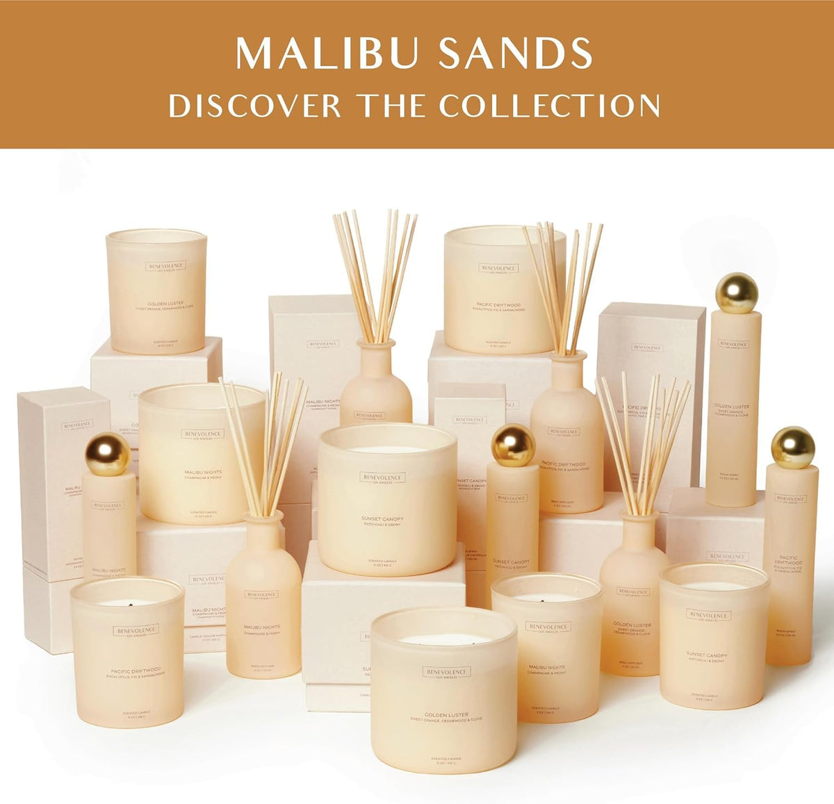 Benevolence LA Reed Diffuser for Home | Eucalyptus, Fig & Sandalwood | Elegant Home & Bathroom Decor | Fragrance Diffuser with Sticks for Bathroom - Malibu Sands Collection