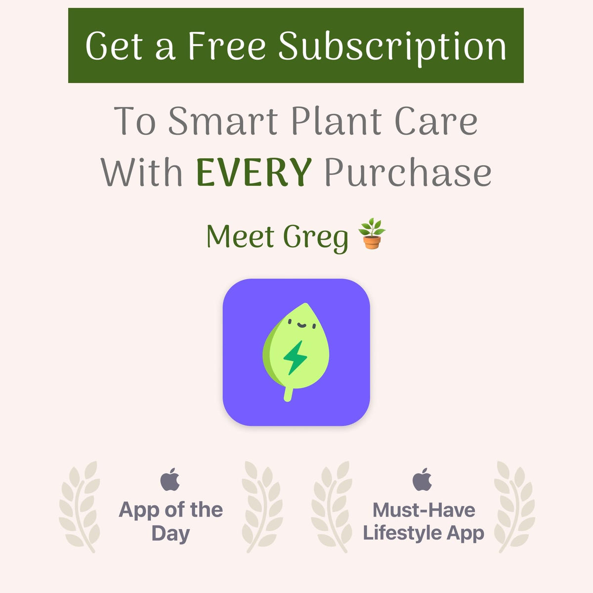 American Plant Exchange ZZ Plant 'Zanzibar Gem' – 6-Inch Pot – Live Easy Care Drought-Tolerant Houseplant, Low-Light Indoor Plant for Home, Office, & Modern Décor