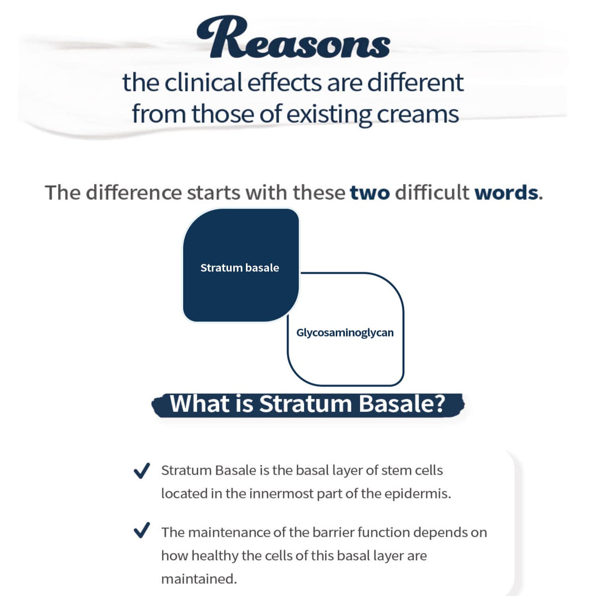 [DERM·ALL MATRIX] Stratum Basale Restoring Cream | Strengthening the skin barrier | a genuine moisturizing care | quick, gentle, and deep moisturizing (1.69 fl.oz)