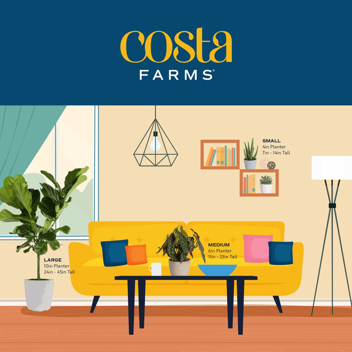 Costa Farms Mini Houseplants (6 Pack), Easy Grow Live Indoor House Plants in Nursery Plant Pots, Grower's Choice with Soil Potting Mix, Potted Home Decor Planter or Outdoor Garden Gift, 4-Inches Tall