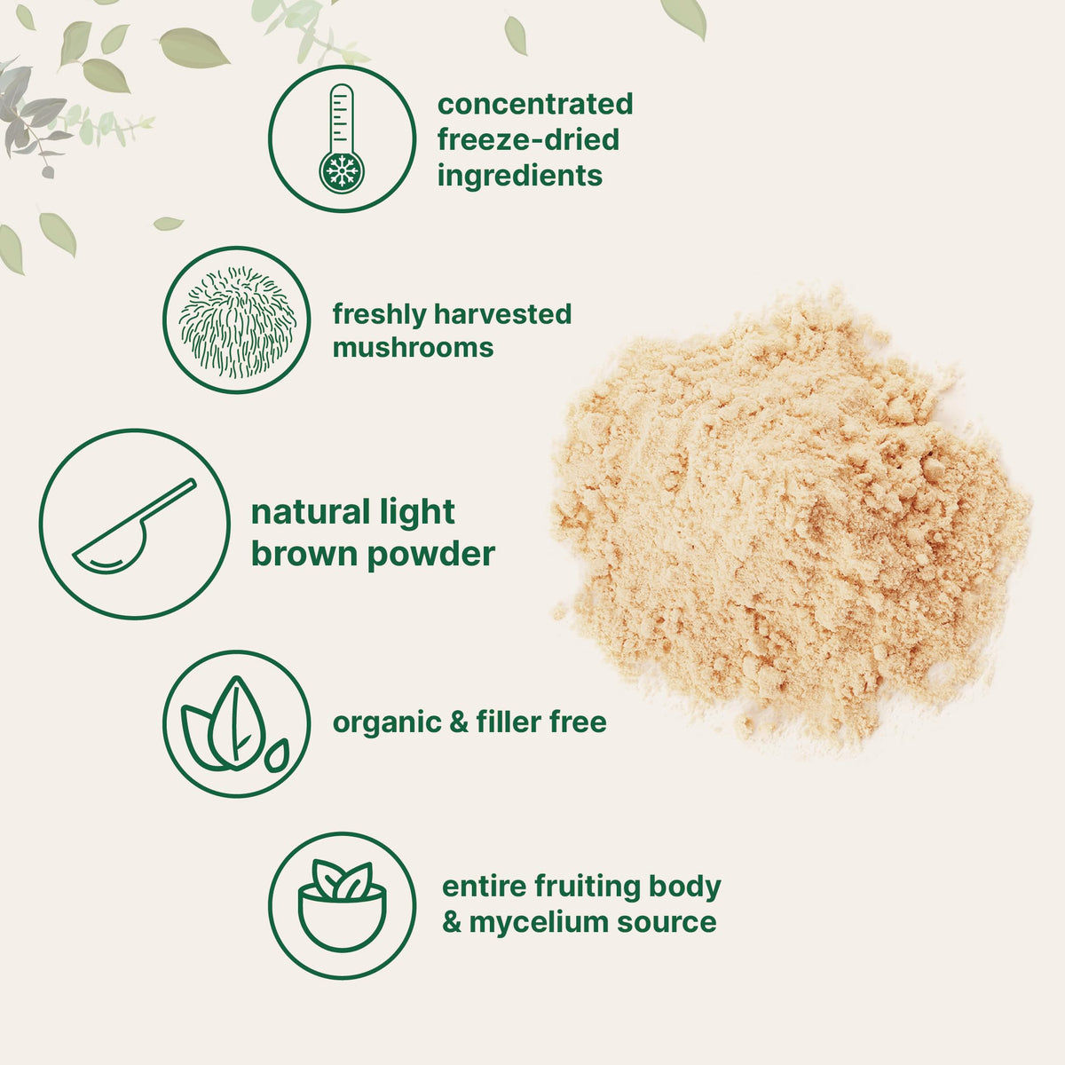 Micro Ingredients Organic Lion’s Mane Mushroom Powder, 8oz | Pure Fruiting Body Superfood | Supports Brain, Focus, Energy & Immune Health | Great for Smoothies & Coffee | Filler Free, Vegan, Non-GMO