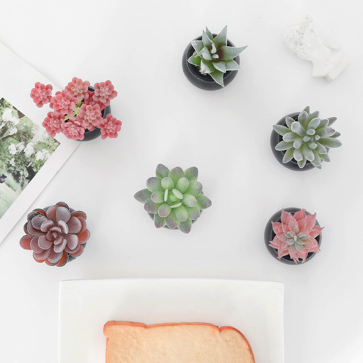 Nubry Mini Fake Plants in Ceramic Pots Artificial Small Succulents Potted Faux Assorted Lifelike Plants for Home Office Desk Decor, Set of 6 (Black Ceramic Pots)