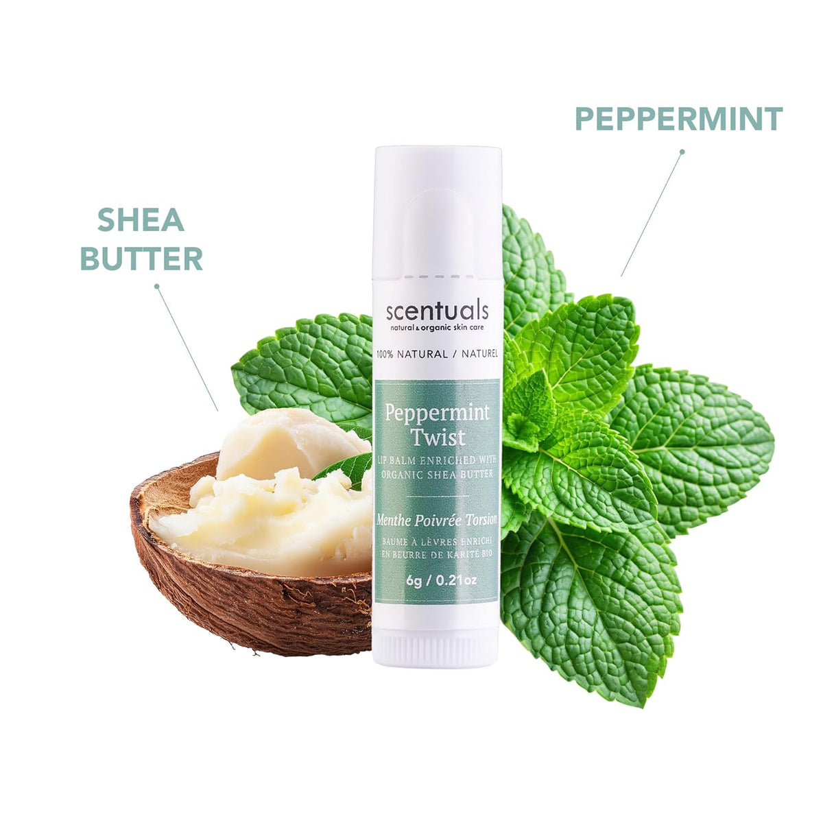 Lip Balm Peppermint Set of 3, Made with Shea Butter, Cocoa Butter, Avocado & Jojoba oil, Beeswax, Vitamin E and Essential oil, Moisturizing Lip Care, Cruelty Free Hydration, Natural (3 Pack)