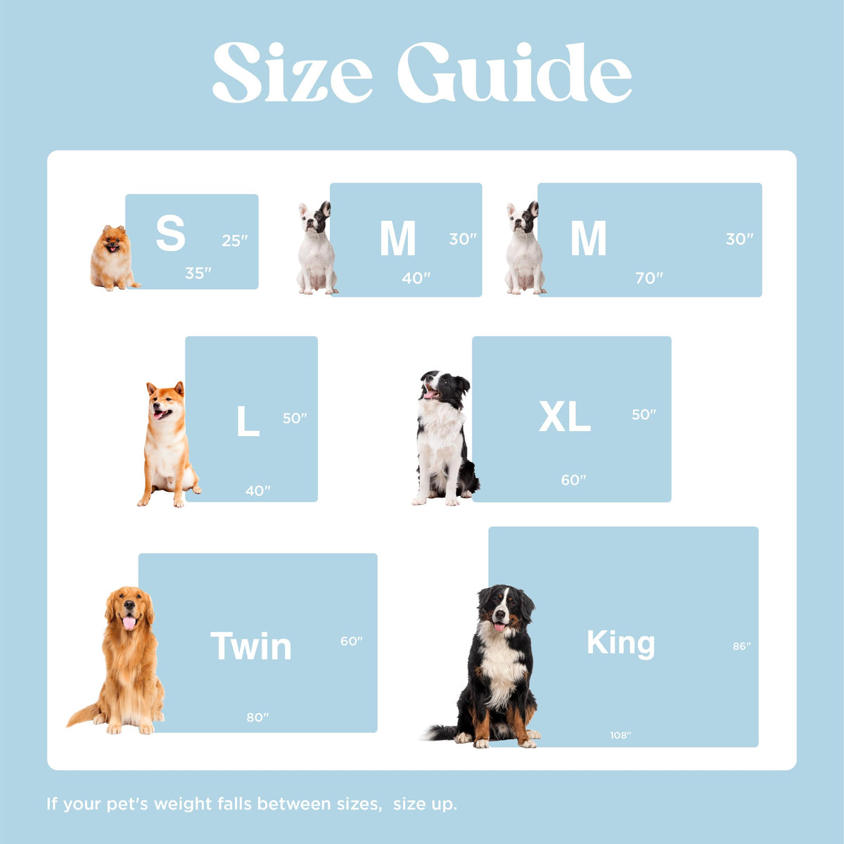 Lesure Waterproof Puppy Blanket for Small Dogs - Washable Double Sided Dog Blankets with Warm Jacquard Shag and Soft Sherpa Fleece, Pet Cat Blanket for Couch Protection, 3D Textured Cloud, Blue