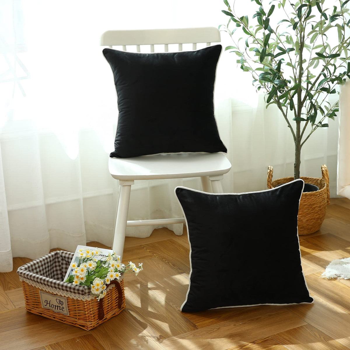 LIGICKY Set of 2 Black Velvet Throw Pillow Covers Modern Minimalist Style Solid Decorative White Rope Edging Soft Square Cushion Cases for Sofa Bedroom Party Décor, 20x 20 inch