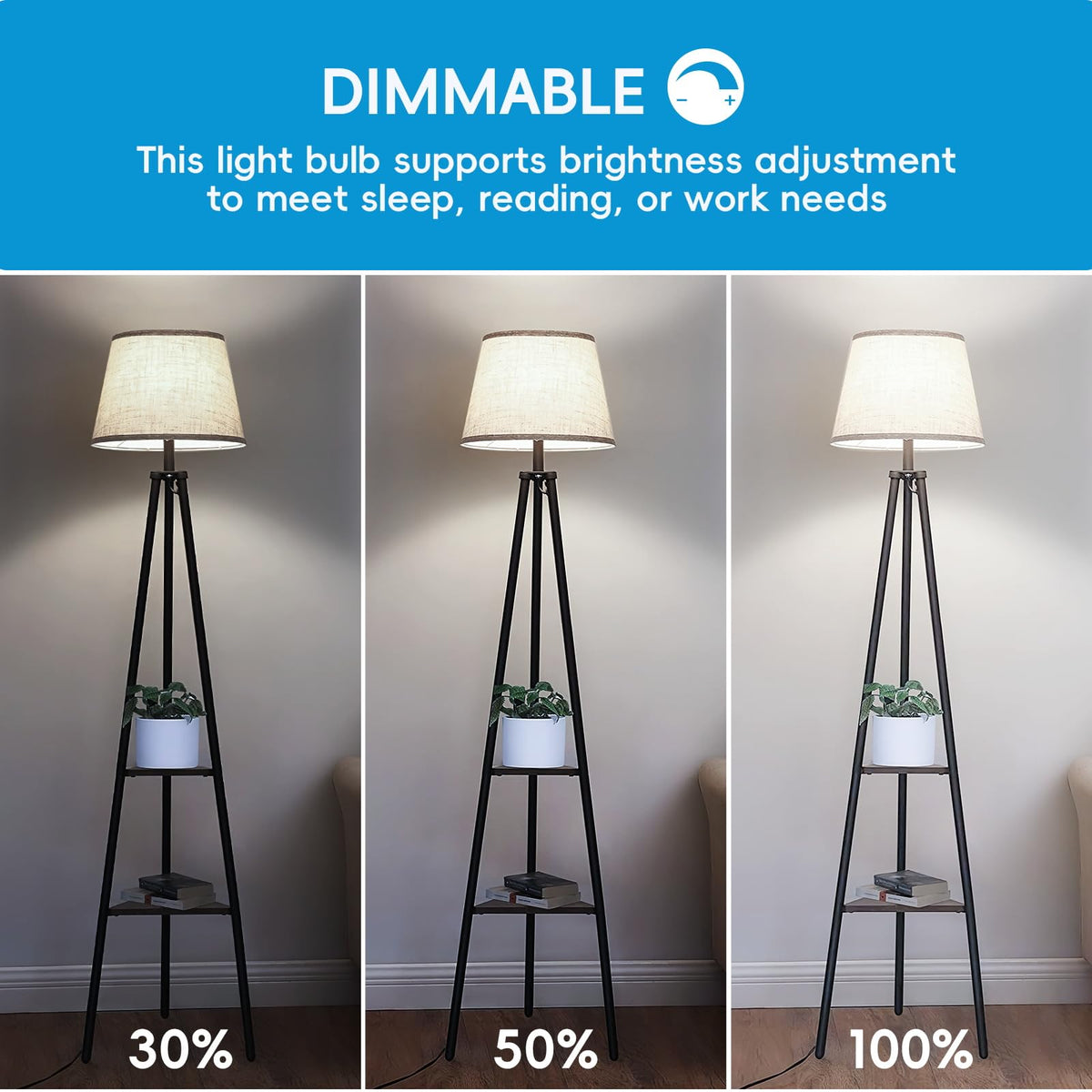 Jensense Edison LED Light Bulbs 8Watt Dimmable Light Bulbs 5000K Daylight White, E26 LED Bulb 60watt Equivalent, LED Vintage Bulbs 800lm CRI 90 Clear Glass 6 Packs