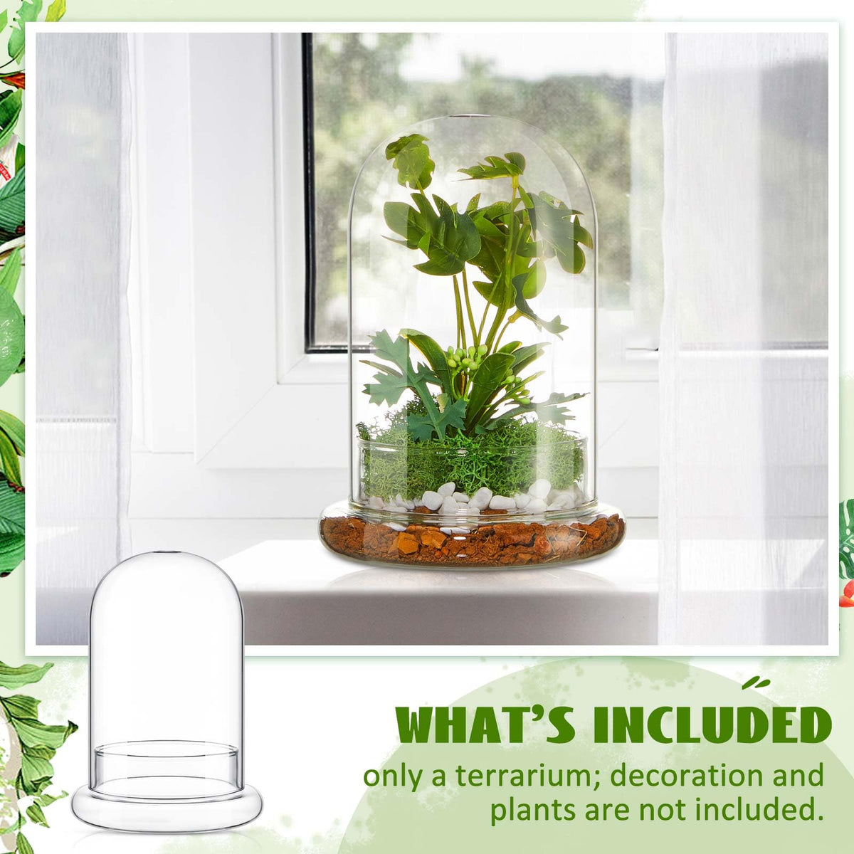 Perthlin 2 Pcs Glass Terrarium 5.9 x 7.9 Inch Terrarium Planter Container Clear Glass Dome Cloche with Airhole and Base for Plant Flower Home Tabletop Display Centerpiece, Plants Not Included