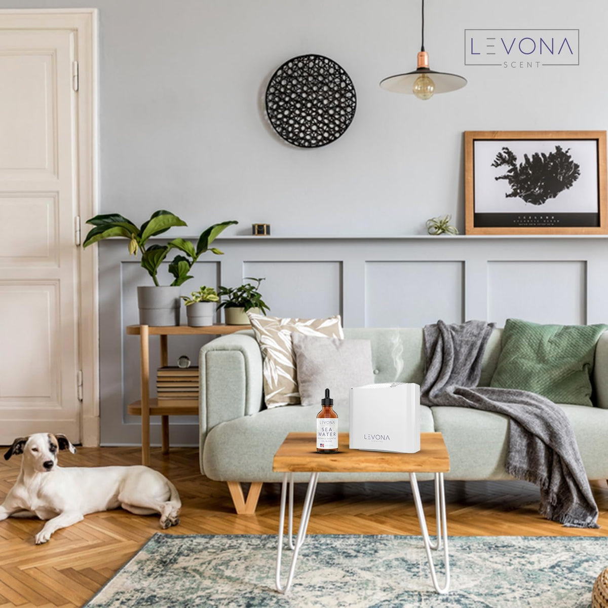 Levona Scent Essential Oils - Scents for Home, Hotel & Office Use - Perfect for Home Diffuser & Humidifiers - Aroma Fragrance Oil, Ideal for Massage, Relaxation, and Spa - Sea Water, 120ml