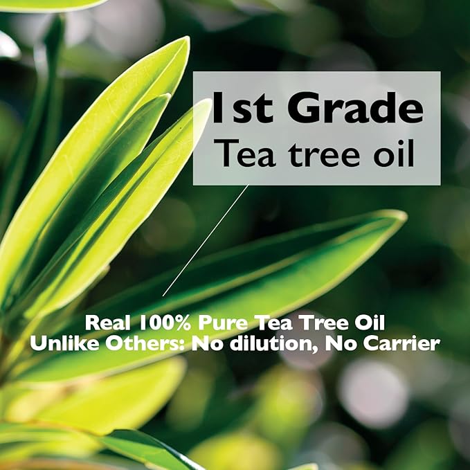Teatree oil Roll-On 100% Spot Care for Acne Treatment - Gentle on Sensitive Skin, Targets Acne Pimples, Blemishes, and Zits. Face and Skin Spot Care Treatment for Acne, 0.18oz.