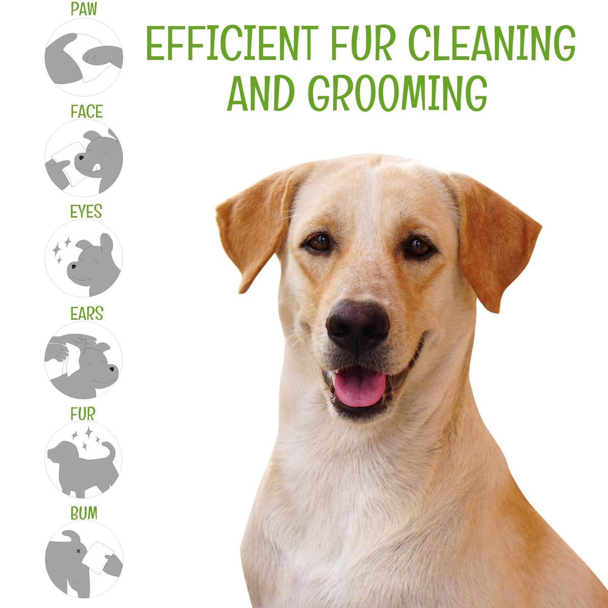 Petazy Dog Wipes for Paws and Butt Ears Eyes | Organic Pet Wipes for Dogs | Hypoallergenic Lavender Scented Dog Wipes Cleaning Deodorizing | Extra Thick Plant Based Wipes Dogs Cats Pets | 100 Count