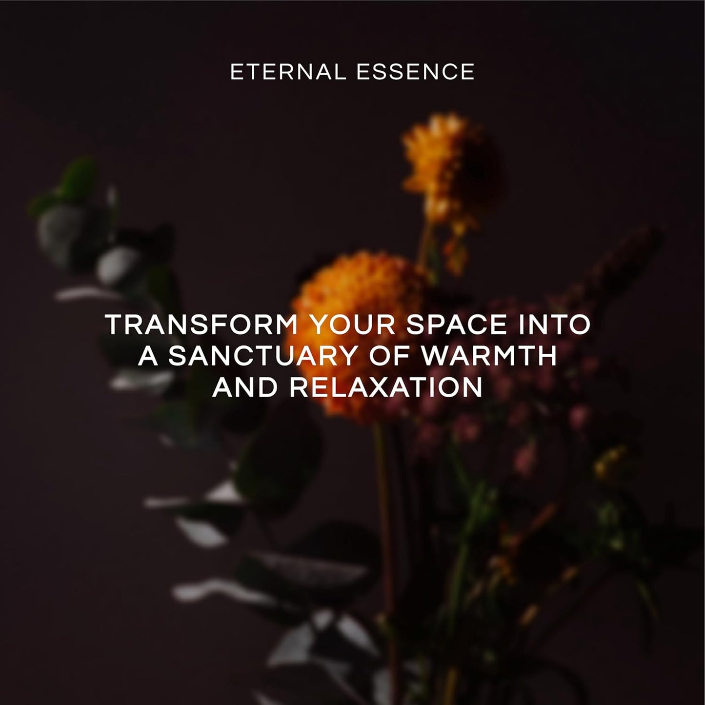 Eternal Essence Oils Freshly Baked Set of 6 Premium Fragrance Oils - Includes Blueberry Pancakes, Caramel Nut Muffin, Butterscotch Cookie Dough, Cinnabon, Chocolate Fondue, and Creamy Nutmeg - 10ML