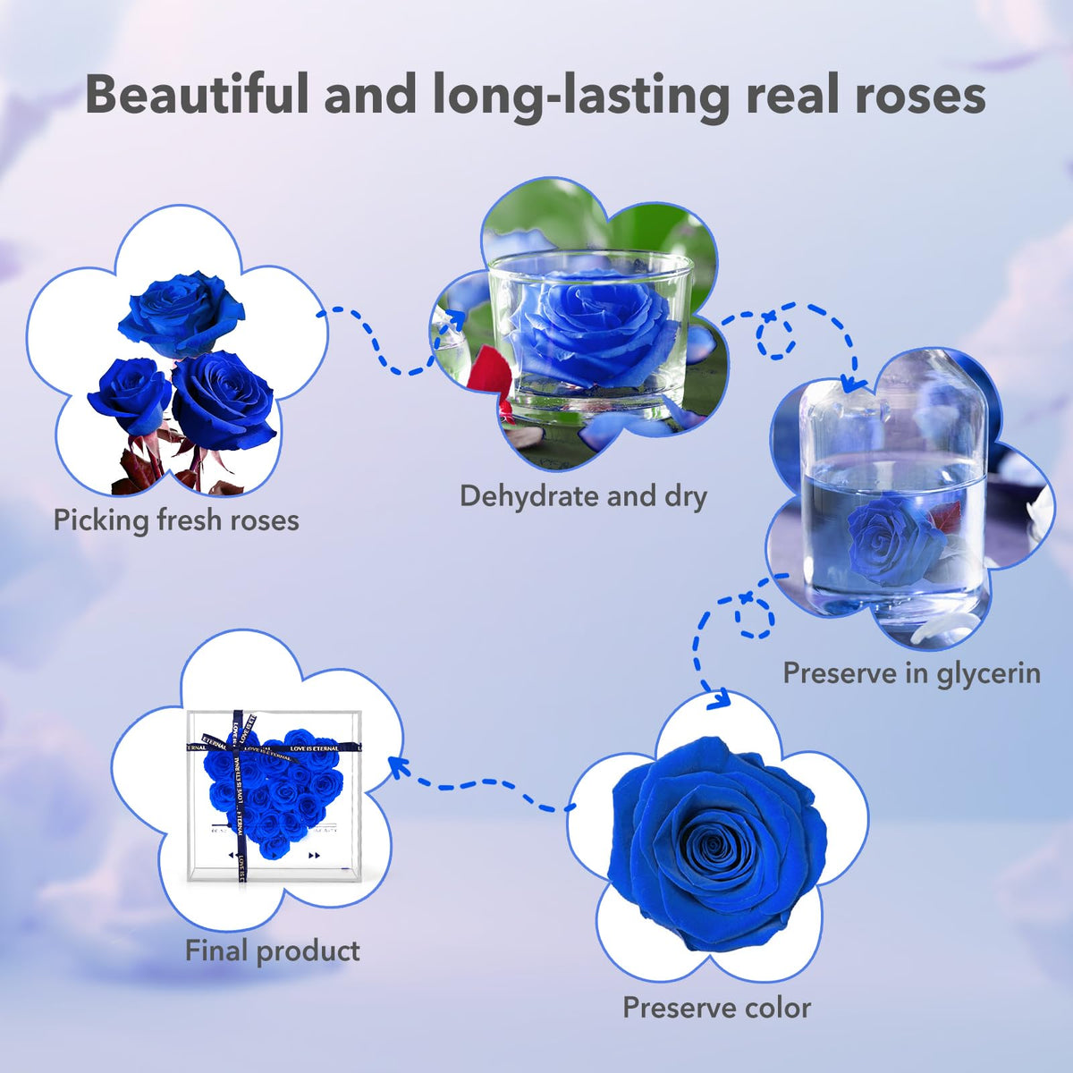 Preserved Roses, Forever Flowers, Blue Real Roses Last for 3 Years, Eternal Flowers Gift, Mothers Day, Valentines Day for for Mom Girlfriend Wife Grandmother (Blue)