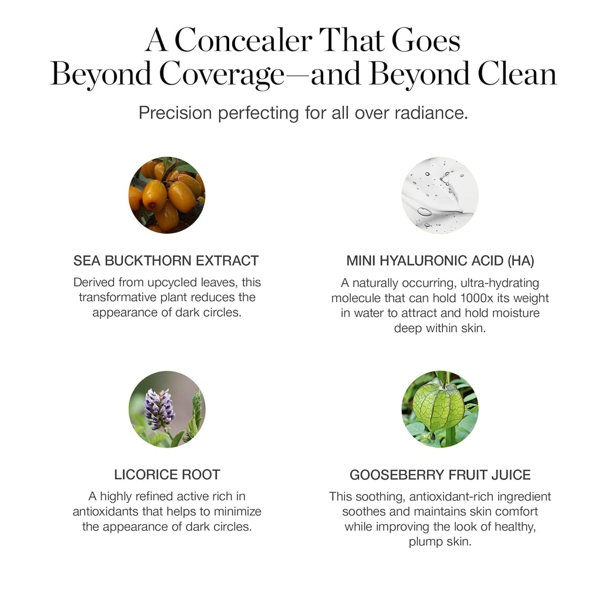 Ogee Complexion Perfecting Under Eye Concealer - Certified Organic Full Coverage Concealer - Buildable Coverage - FIR 0.02W - Fair (Warm-Golden Undertones)