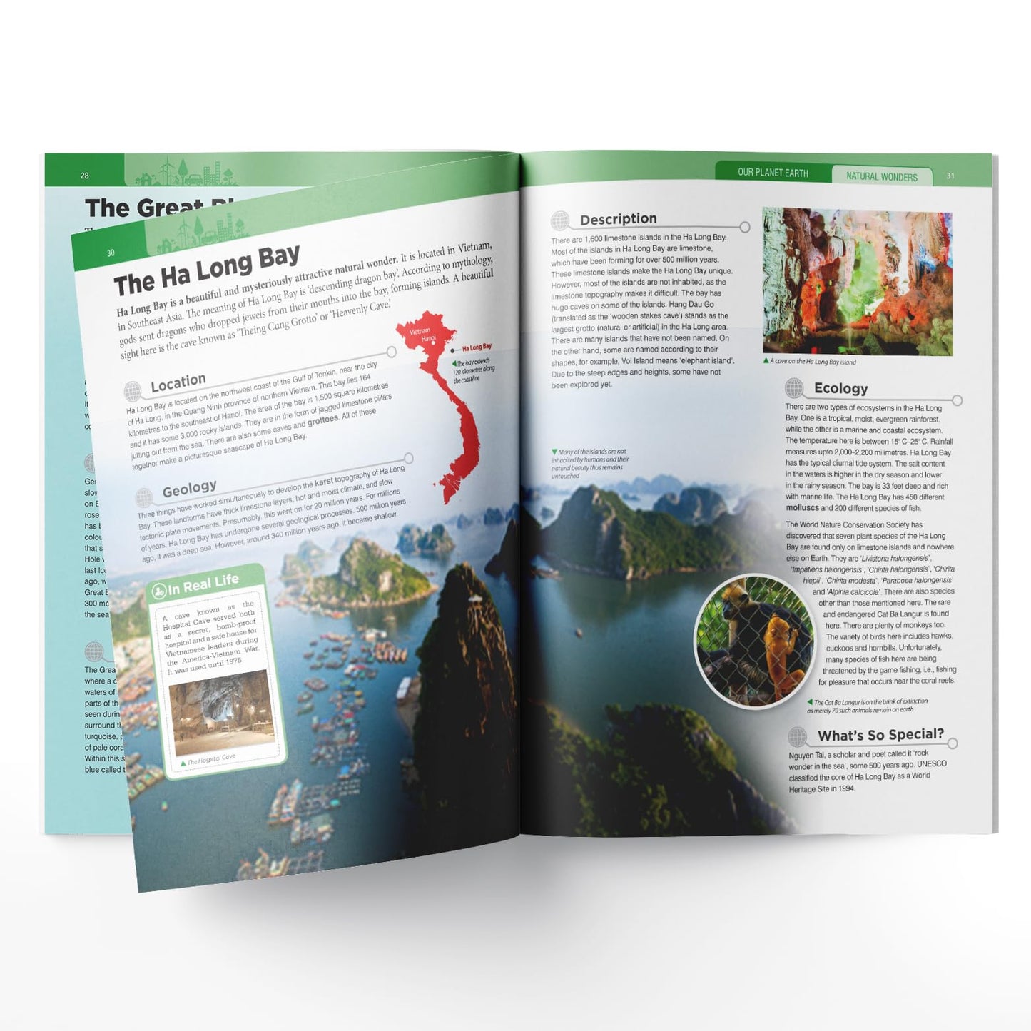 Our Planet Earth: Collection of 6 Books (Knowledge Encyclopedia For Children)