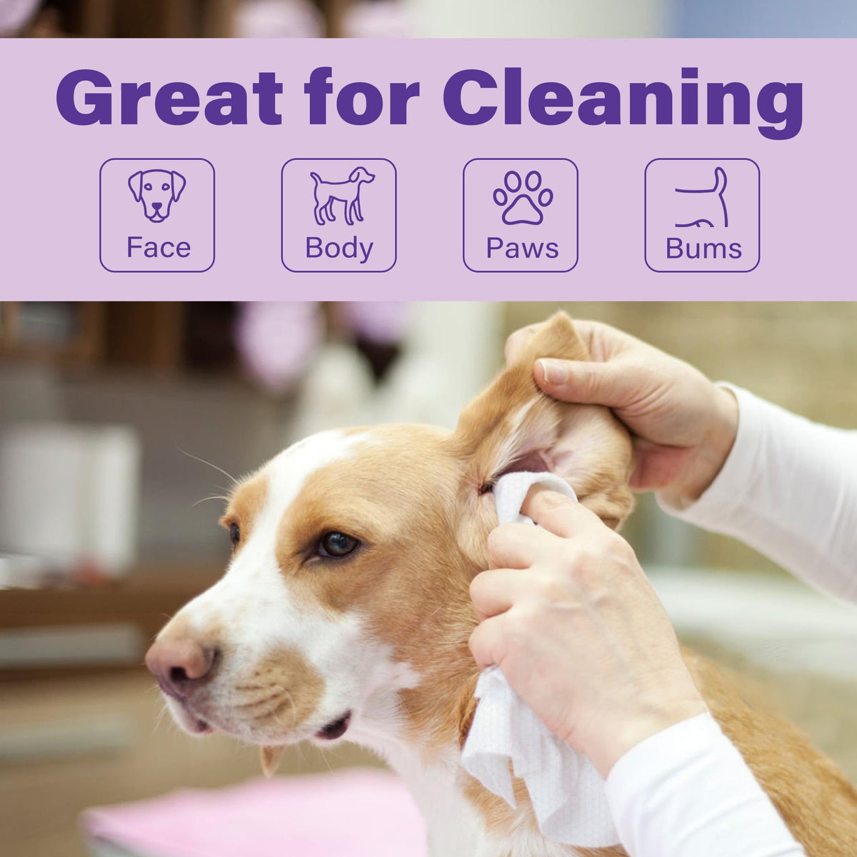 PrimePets Dog Wipes, 400 Count, 8" x 8" Pet Grooming Wipes for Dogs Cats Cleaning Deodorizing, Lavender Scented, Extra Thick Dog Paw Wipes for Sensitive Skin, Clean Ears, Eyes, Butt, Body & Teeth