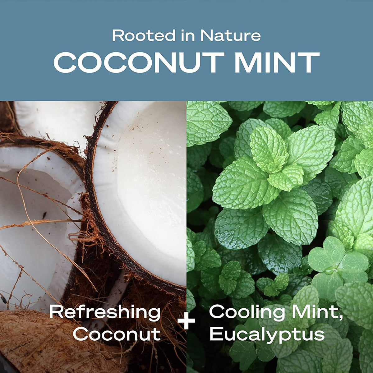 Hey Humans Deodorant, Aluminum Free Deodorant for Women and Men, Contains Naturally Derived Ingredients, All Day Odor Control, Refreshing Essential Oils, Earth Friendly Package, Coconut Mint