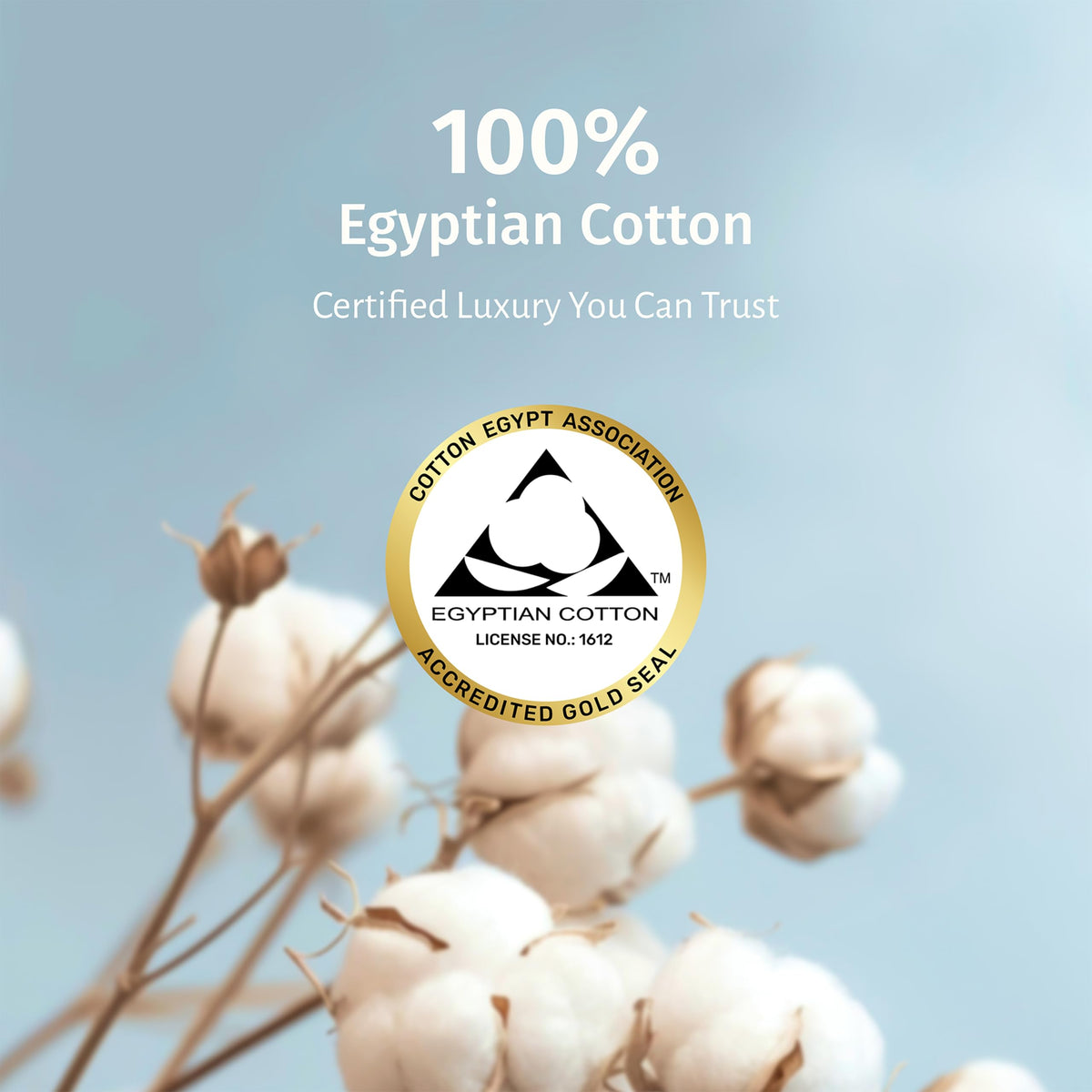 California Design Den Luxury 100% Egyptian Cotton King Pillow Cases Set of 2 - Crisp Percale, Soft & Breathable King Pillowcases Cotton Set - Grey