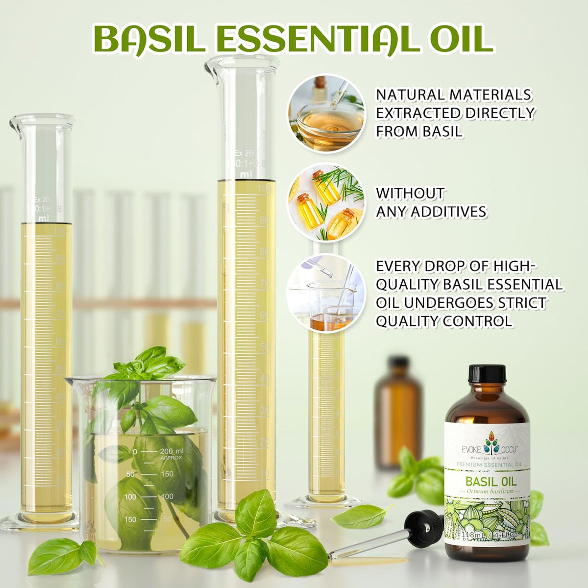 EVOKE OCCU Basil Essential Oil for Skin Massage Diffuser and Candle Making- 4 Fl Oz