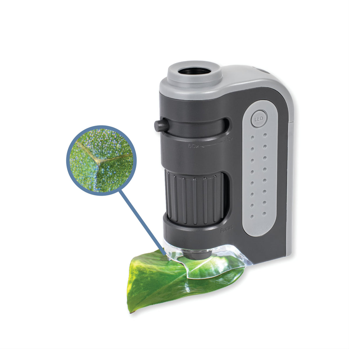 Carson MicroBrite Plus 60x-120x LED Lighted Pocket Microscope, Portable Handheld Microscope for Adults, Mini Microscope for Student Science Lab, STEM Educational Portable Microscope (MM-300)