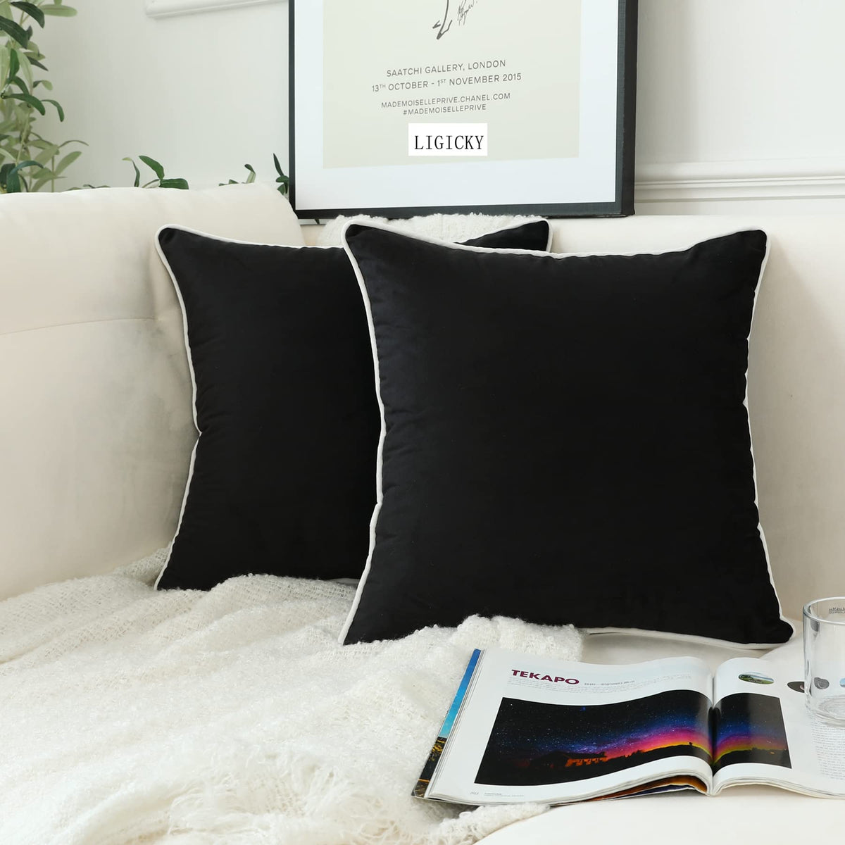 LIGICKY Set of 2 Black Velvet Throw Pillow Covers Modern Minimalist Style Solid Decorative White Rope Edging Soft Square Cushion Cases for Sofa Bedroom Party Décor, 20x 20 inch