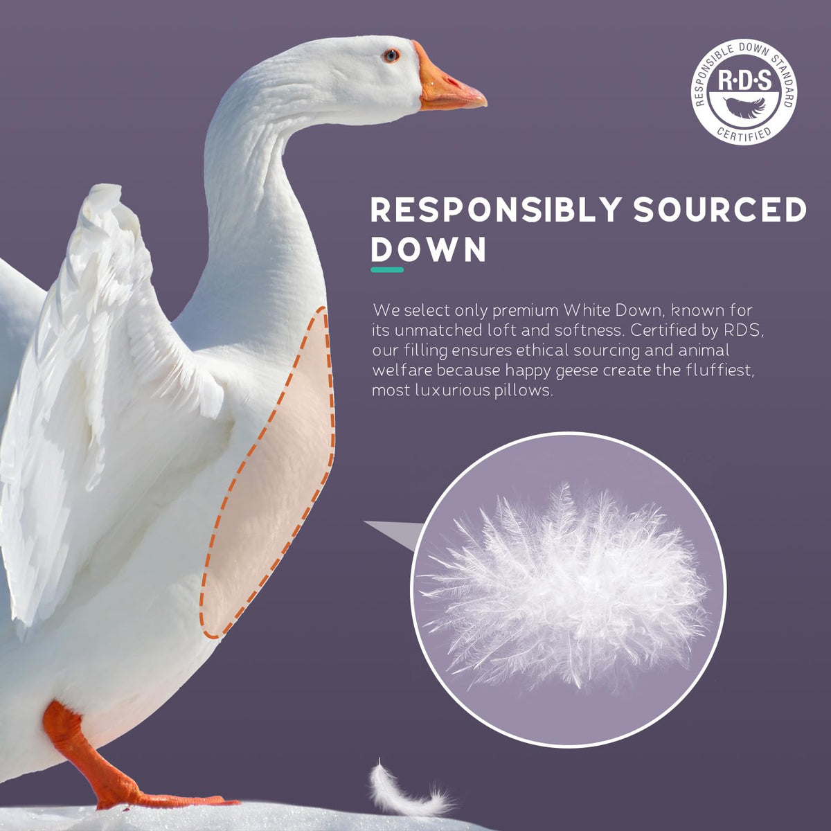 PlushHavenCloud White Goose Down Pillow Luxury Hotel Bed Pillow with 100% Natural 900+ Fill Power, Natural Goose Feather Pillow for Sleeping,700 Thread Count Cotton Shell, Queen Size- Medium, 1 Pack