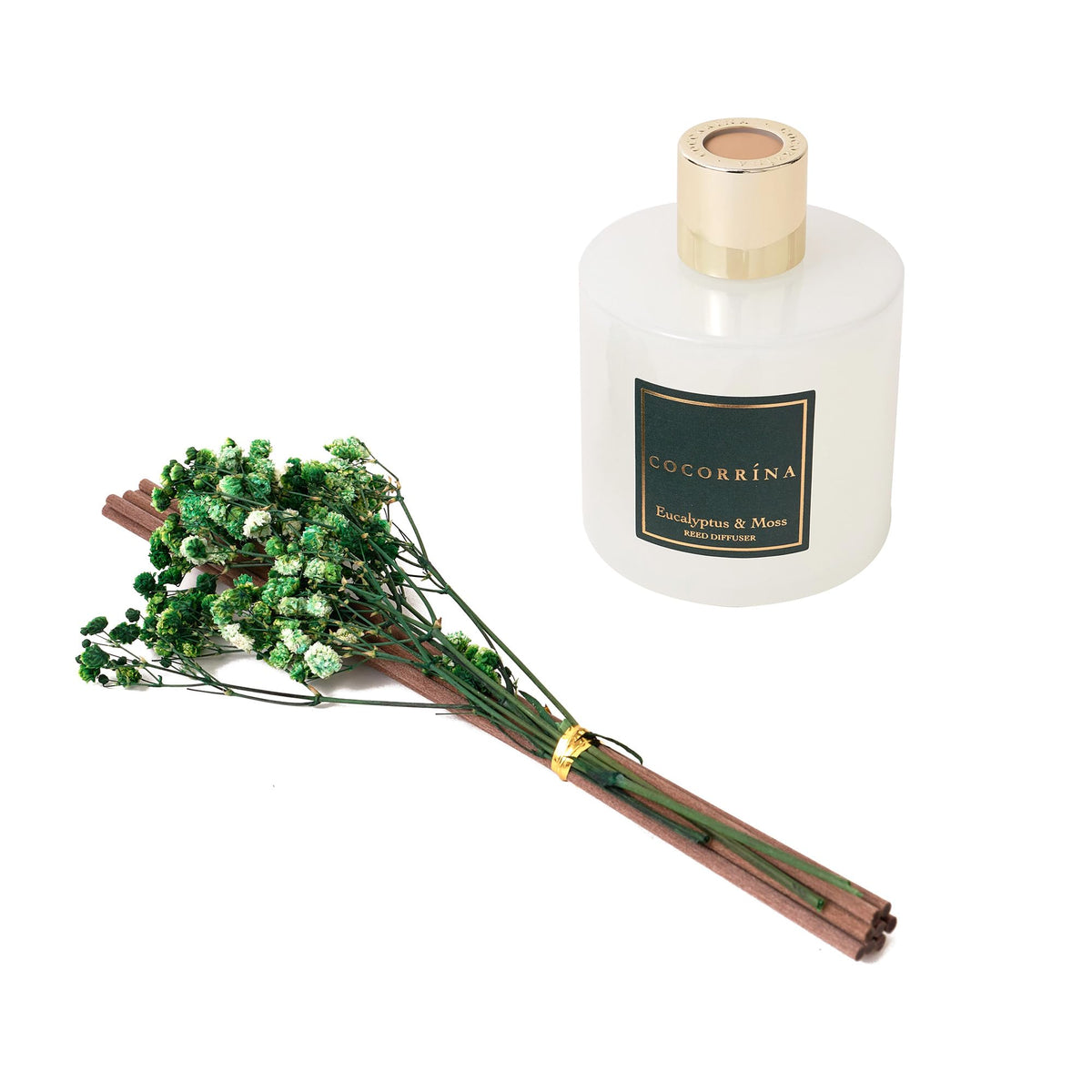 Cocorrína Reed Diffuser Sets- Eucalyptus & Moss Scented Diffuser with Sticks Home Fragrance Reed Diffuser for Bathroom Shelf Decor