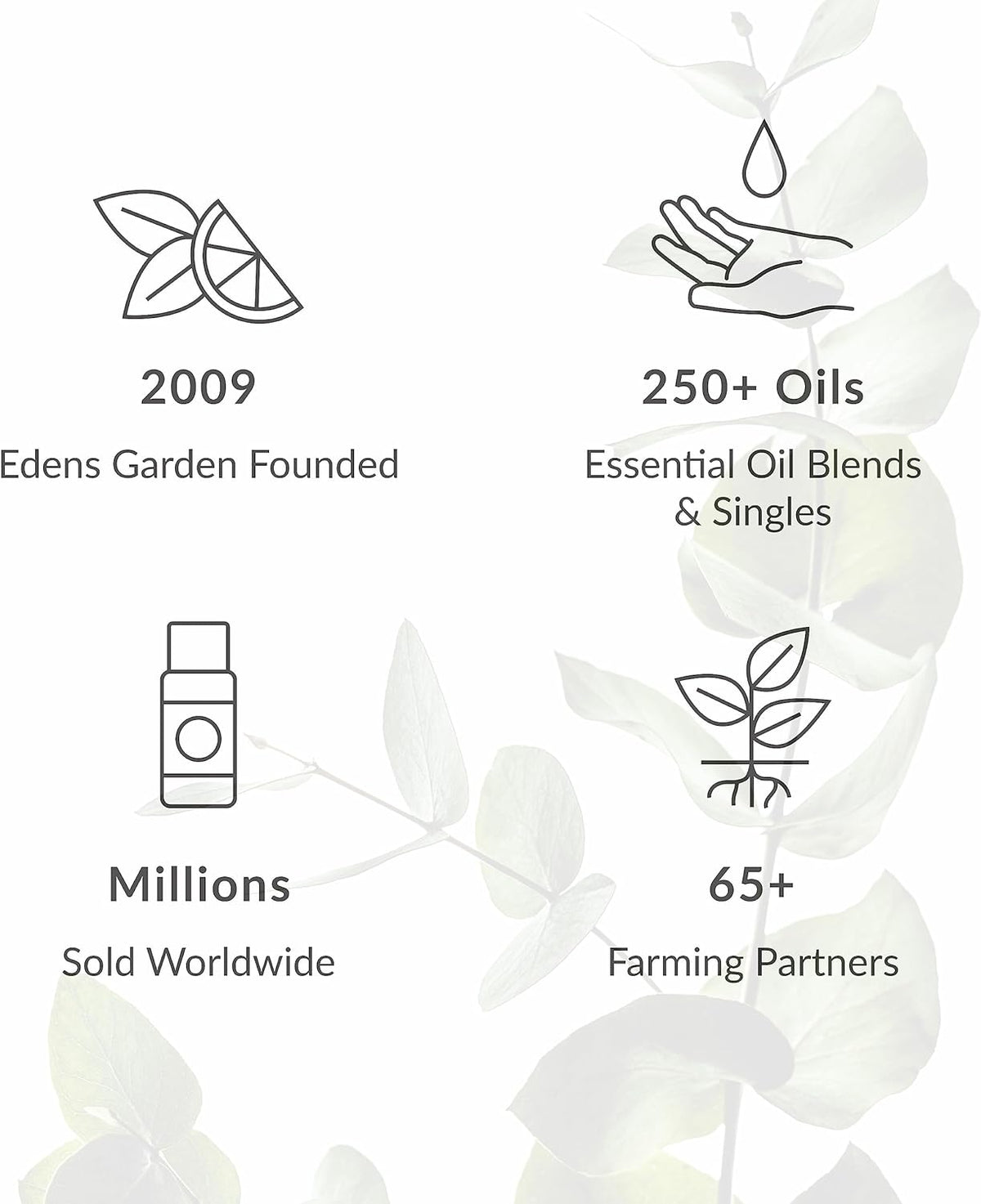Edens Garden Calming The Mind Essential Oil Roll-On Blend- 100% Pure Premium Grade, Natural, Therapeutic, Aromatherapy, Kid & Skin Safe, The Best for Comfort, Tension Pre-Diluted 10 ml (.33 fl oz)