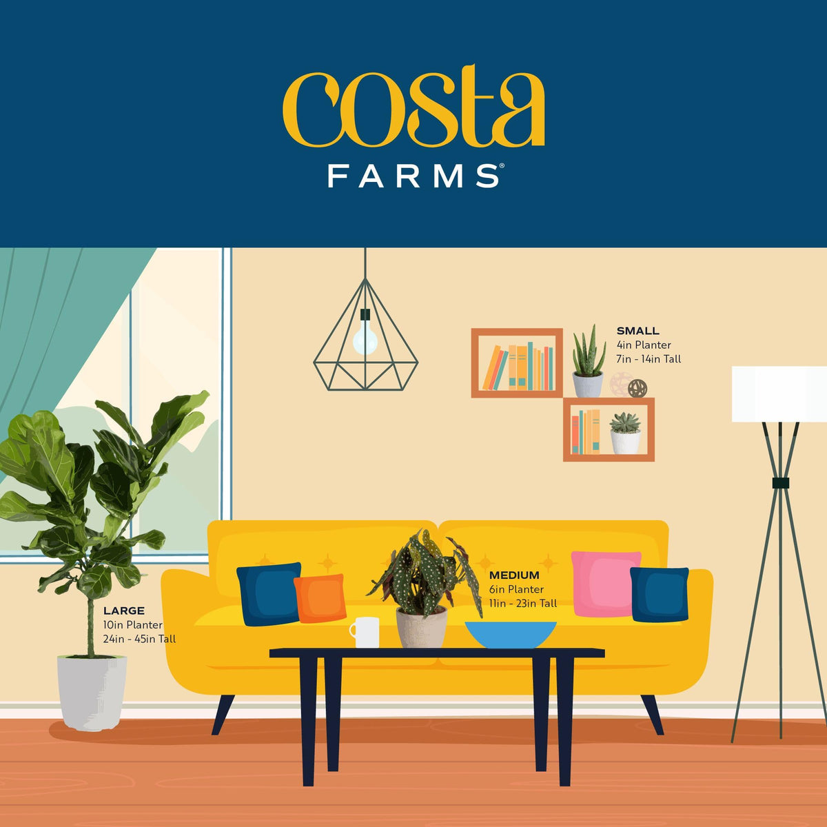 Costa Farms Mini Houseplants (6 Pack), Easy Grow Live Indoor House Plants in Nursery Plant Pots, Grower's Choice with Soil Potting Mix, Potted Home Decor Planter or Outdoor Garden Gift, 4-Inches Tall
