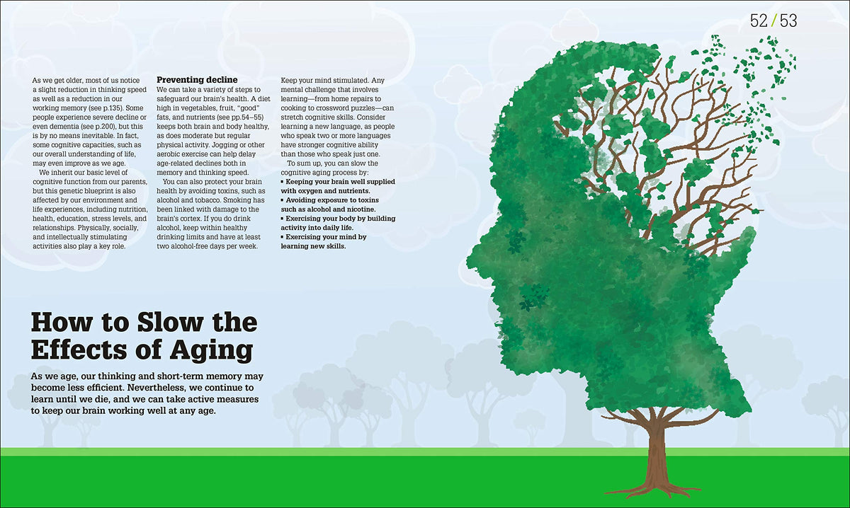 How the Brain Works: The Facts Visually Explained (DK How Stuff Works)