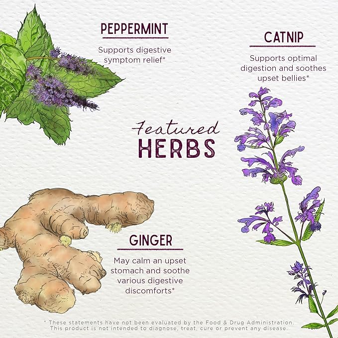 WishGarden Herbs Digestive Rescue for Kids - Plant-Based Herbal & Organic Digestive Relief Tincture with Peppermint Leaf, Ginger Root & Fennel Seed, Quickly Soothes Digestive Tummy Discomforts, 2oz