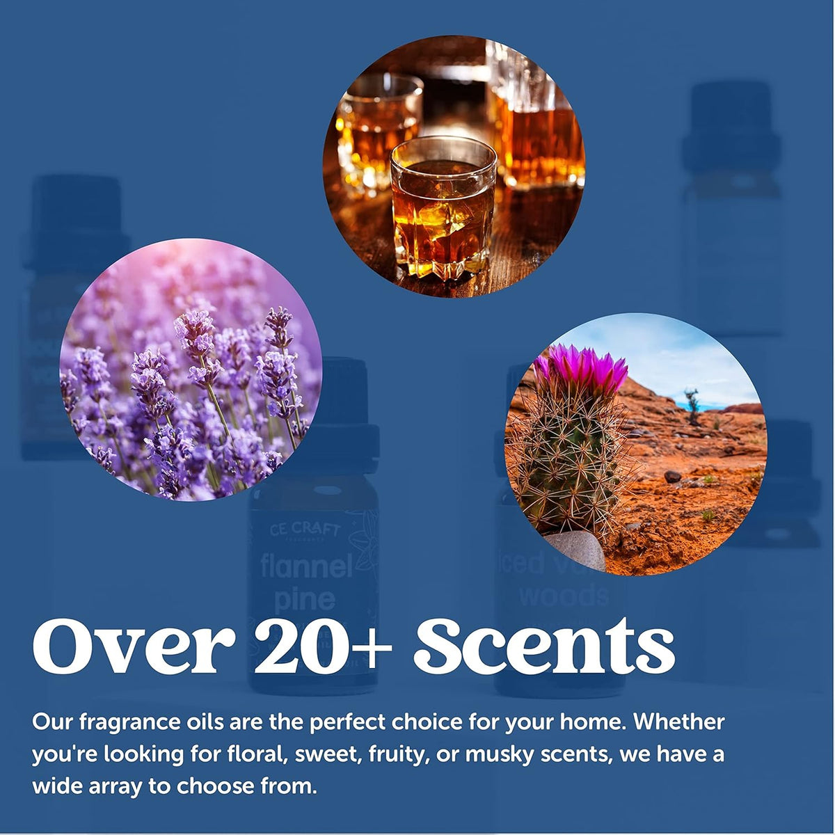 CANDECraftCo Premium Fragrance Oil – Diffuser Oils Fragrances Scented for Home, Candle Soap Making Supplies, Aromatherapy Blends for House (0.34 Fl Oz) (Champagne & Berry Mimosa)