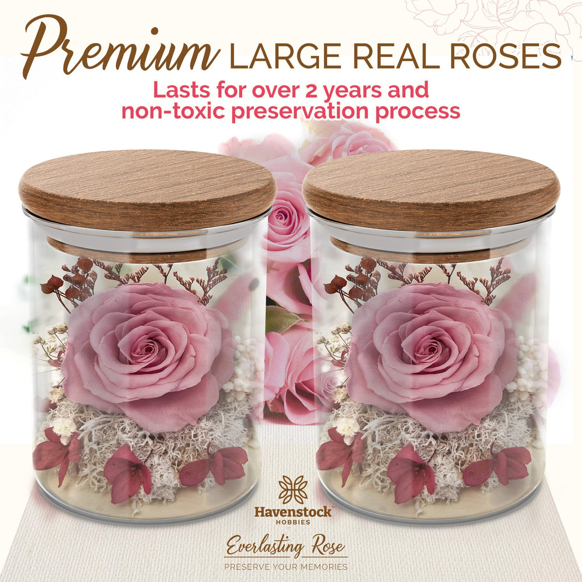 Havenstock Pink Rose in a Glass Dome - Premium Real Roses That Last a Year or More - Mother's Day Unique Gifts for Her Preserved Roses - Forever Flower Decor Preserved Flowers - Eternal Rose Display