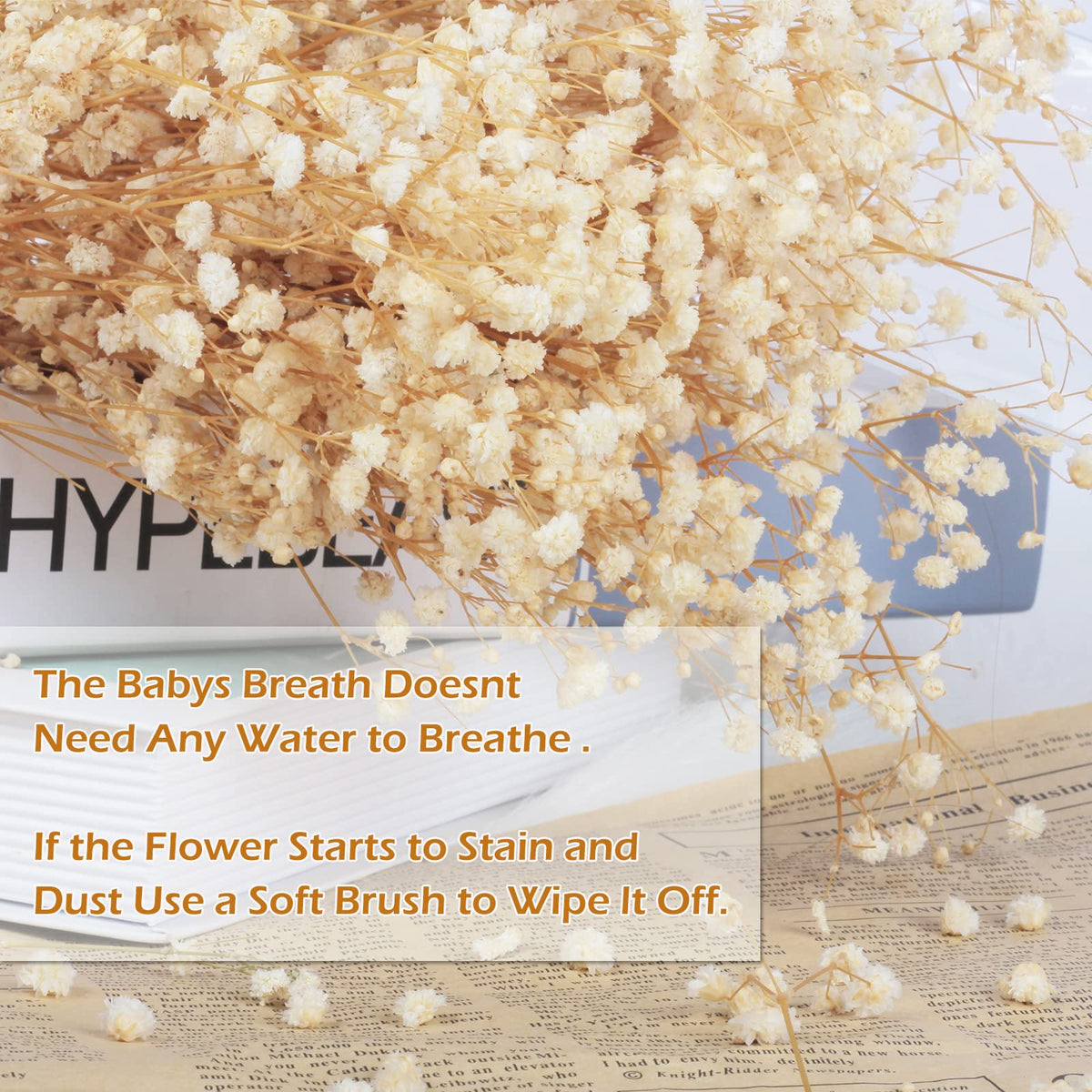 Dried Babys Breath Bouquet-17.2 inch Dried Flowers, Natural Gypsophila Branches for Home Decor, Wedding, Table Decor, DIY Wreath Floral, Dry Flowers Bulk for Vase (Ivory White max)