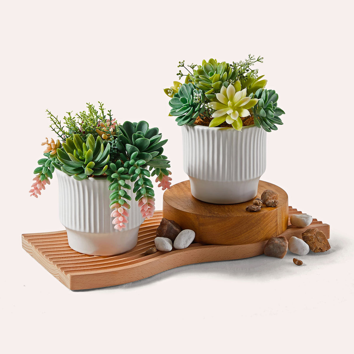 ASTRIDIA Artificial Succulent Plants, Faux Assorted Succulents Fake Plants in White Ceramic Pots for Home Decor, Bedroom, Office, Desk, Living Room, Set of 2