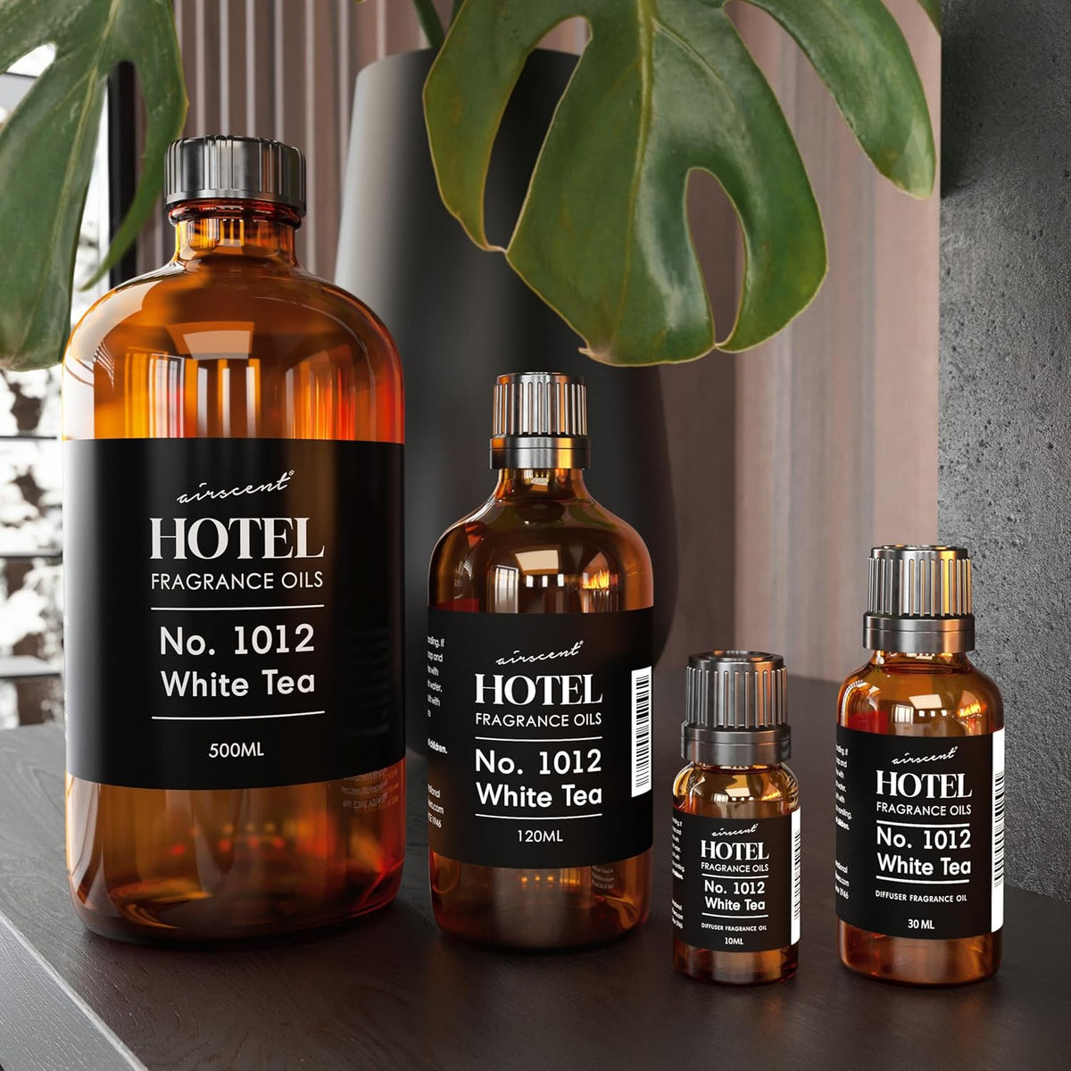 AirScent Hotel Diffuser Oil No. 1012 Inspired by The White Tea Hotel Scent - Premium Fragrance Oil for Ultrasonic and Waterless Diffusers and Crafting - 500 mL, 16.9 fl oz Glass Dropper Bottle