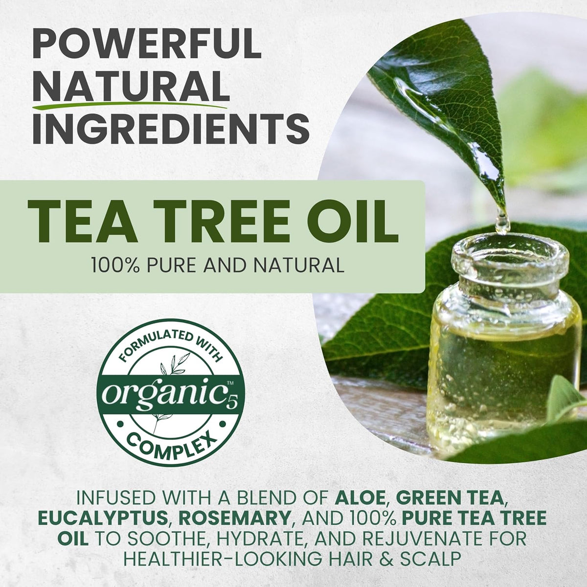 Tea Tree Oil Shampoo MaxTherapy, Itchy Scalp Relief, Refreshes & Cleanses Dandruff & Buildup, Clarifying for Oily Hair, Women & Men, 16 fl oz