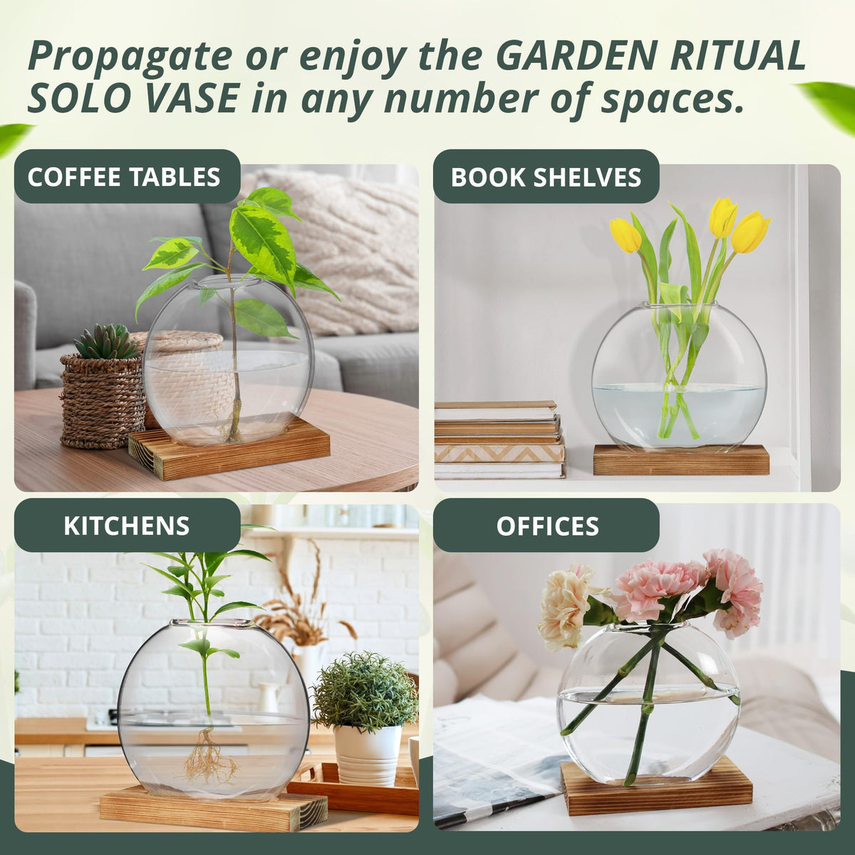 Garden Rituals - Plant Propagation Station Vase, Glass Terrarium Jars, Modern Hydroponic Planters for Indoor Plants, Desktop Glass Pots for Plants Round Vases Plant Holder Home Office Decor, 1Vase