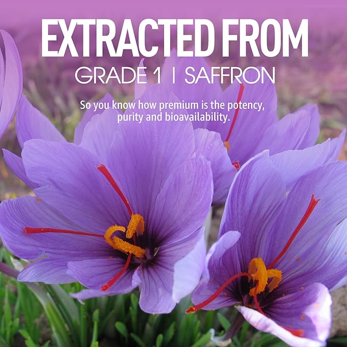 Sugar Free Saffron Gummies - Saffron Supplement Gummies 100% Pure Saffron Extract Whole Herb Gummies with Honey for Mood & Power, Vitamin B6, B12, D3, C - Organic, Vegan, Mixed Berry Flavor - 120Cts